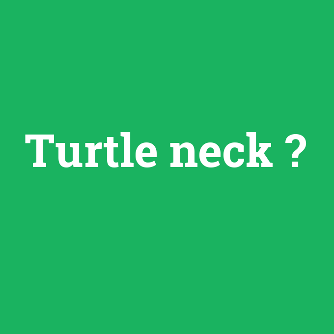 Turtle neck, Turtle neck nedir ,Turtle neck ne demek