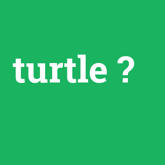 turtle, turtle nedir ,turtle ne demek