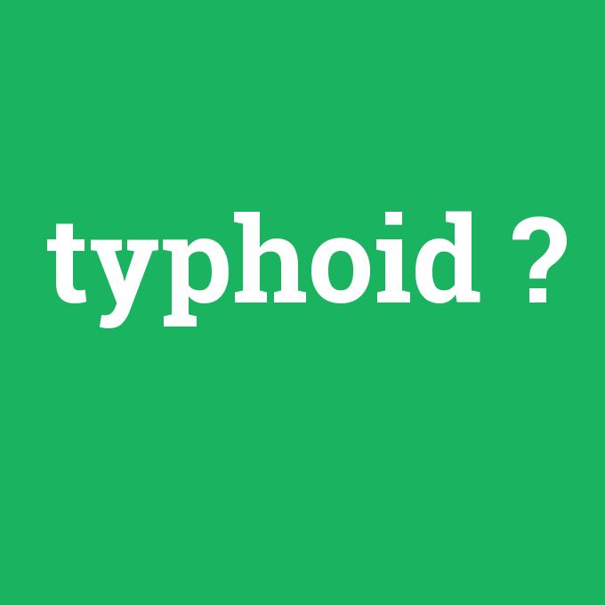 typhoid, typhoid nedir ,typhoid ne demek
