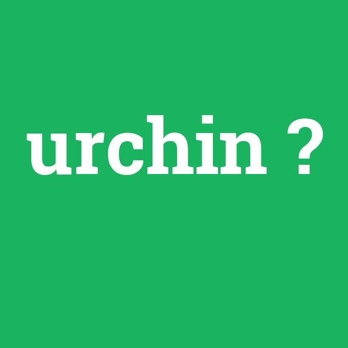 urchin, urchin nedir ,urchin ne demek