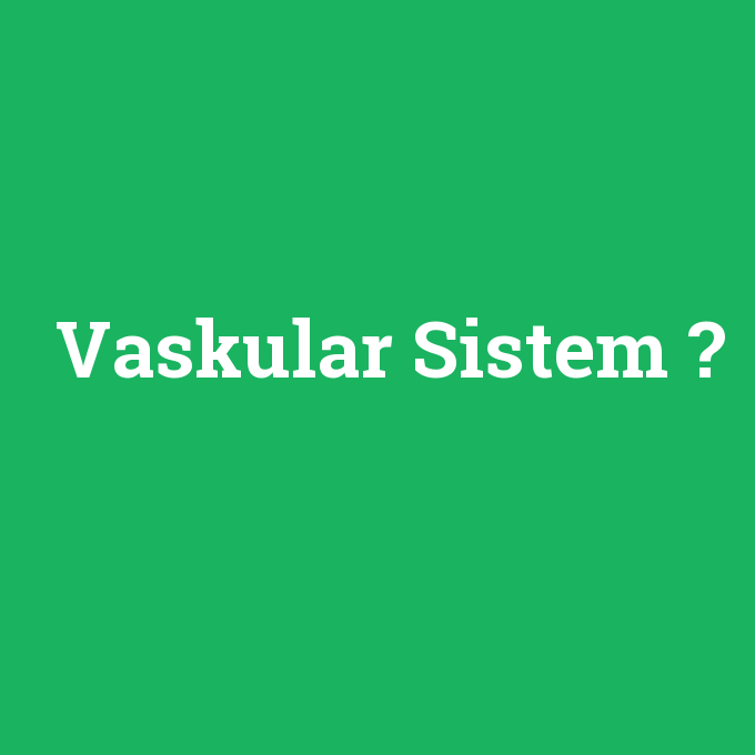 Vaskular Sistem, Vaskular Sistem nedir ,Vaskular Sistem ne demek
