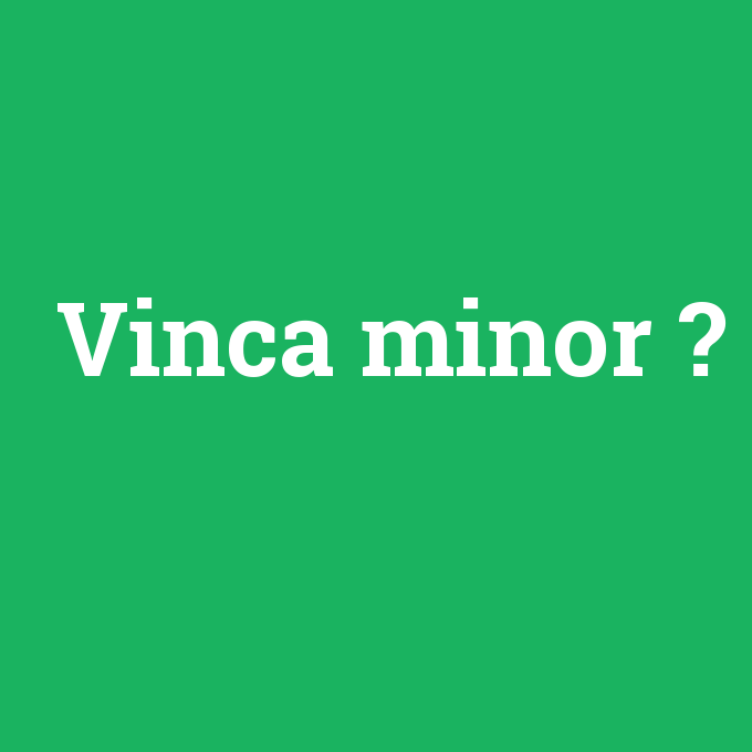Vinca minor, Vinca minor nedir ,Vinca minor ne demek