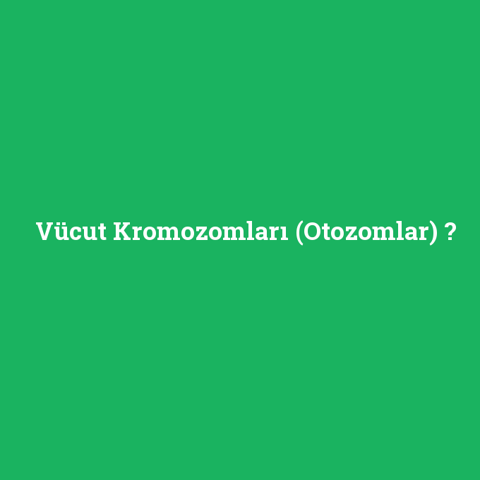 Vücut Kromozomları (Otozomlar), Vücut Kromozomları (Otozomlar) nedir ,Vücut Kromozomları (Otozomlar) ne demek