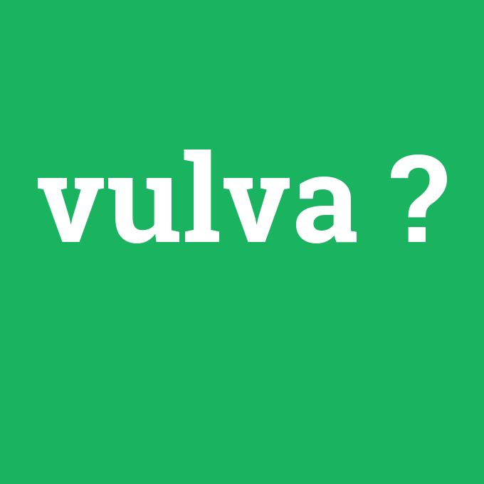 vulva, vulva nedir ,vulva ne demek