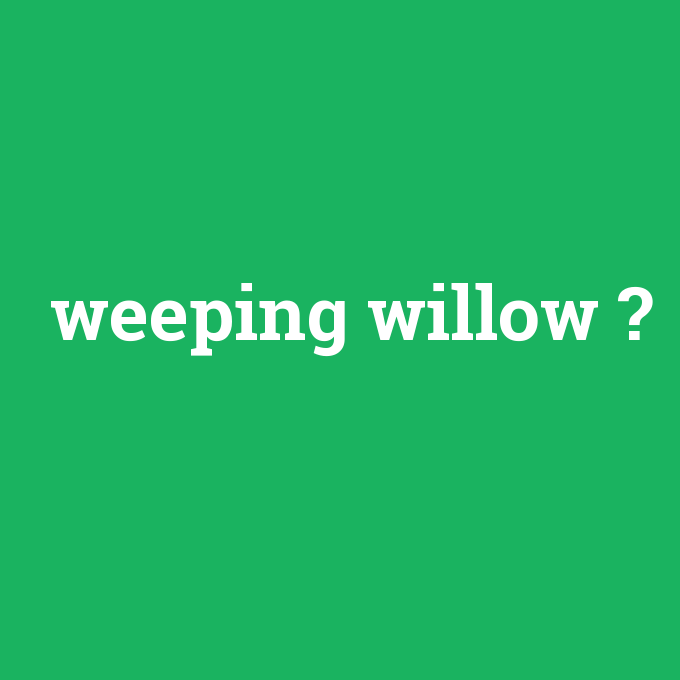 weeping willow, weeping willow nedir ,weeping willow ne demek