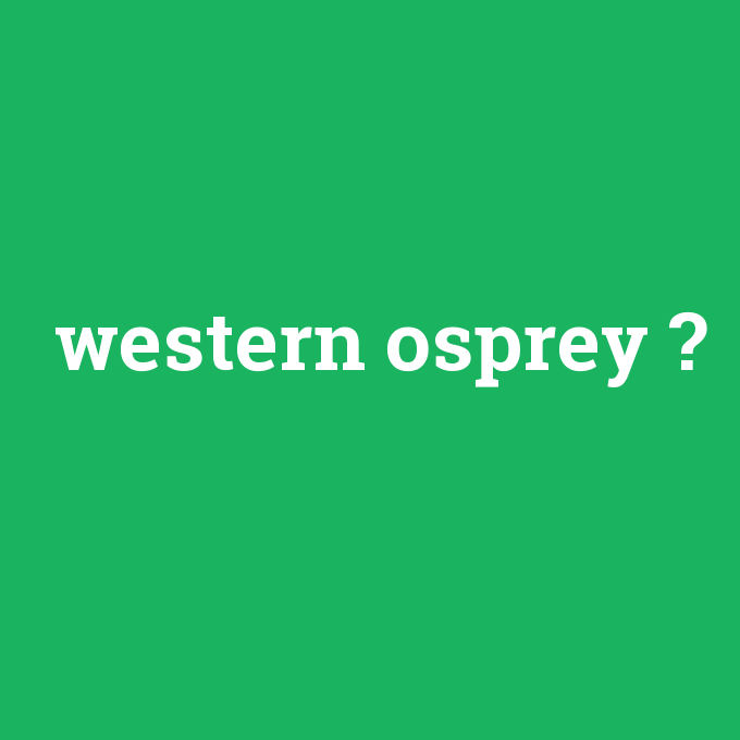 western osprey, western osprey nedir ,western osprey ne demek