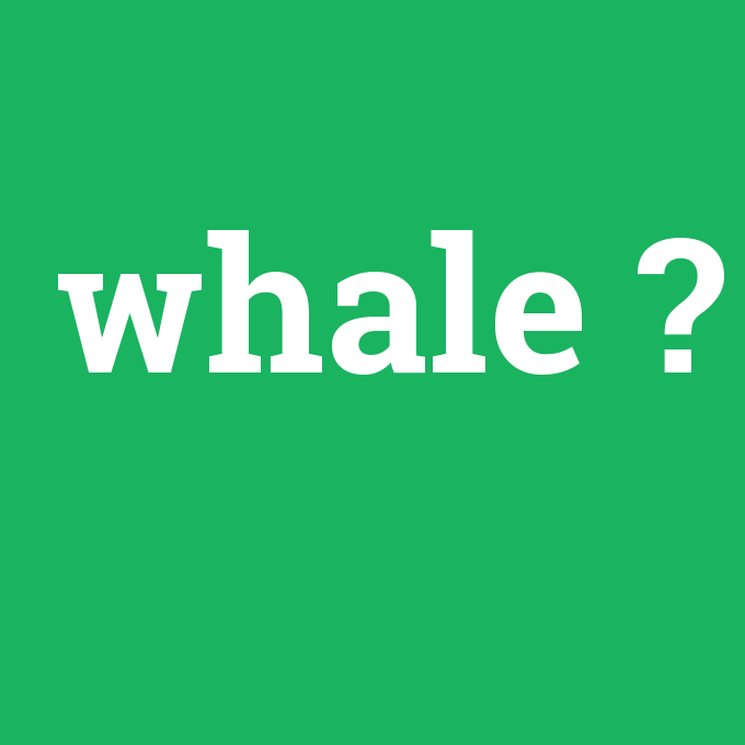 whale, whale nedir ,whale ne demek
