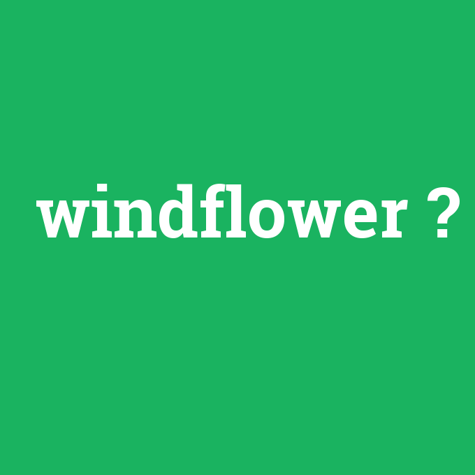 windflower, windflower nedir ,windflower ne demek