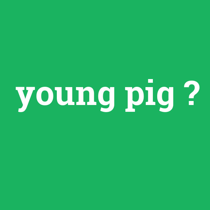 young pig, young pig nedir ,young pig ne demek