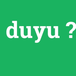 duyu