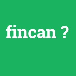 fincan