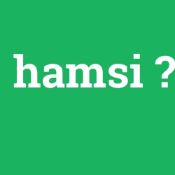 hamsi