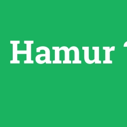 Hamur