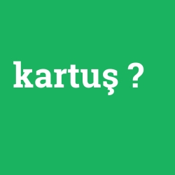 kartuş
