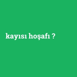 kayısı hoşafı