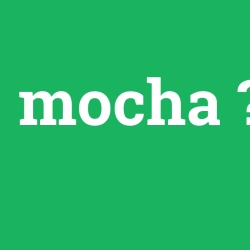 Mocha foto galeri