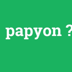 papyon