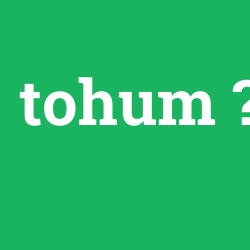 tohum