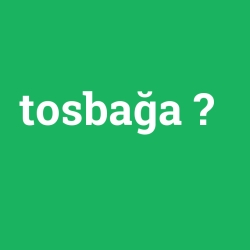 tosbağa foto galeri