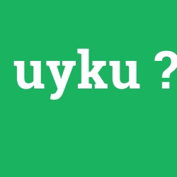 uyku