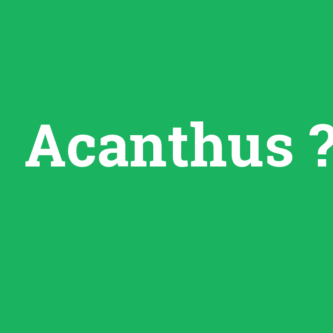 Acanthus, Acanthus nedir ,Acanthus ne demek