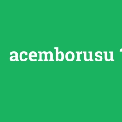 acemborusu