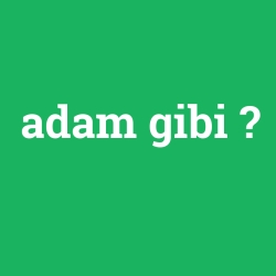 adam gibi