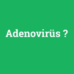 Adenovirüs