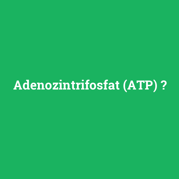Adenozintrifosfat (ATP), Adenozintrifosfat (ATP) nedir ,Adenozintrifosfat (ATP) ne demek