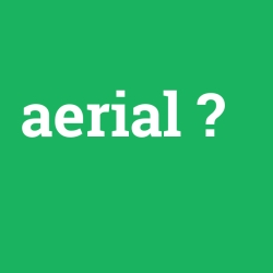 Aerial
