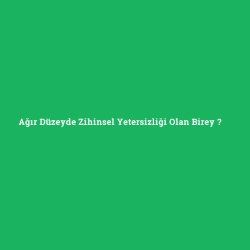Ağır Düzeyde Zihinsel Yetersizliği Olan Birey