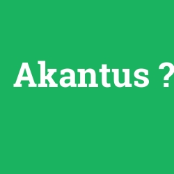 Akantus