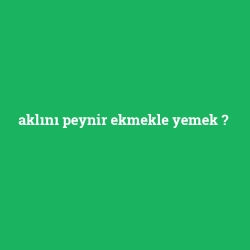 aklını peynir ekmekle yemek