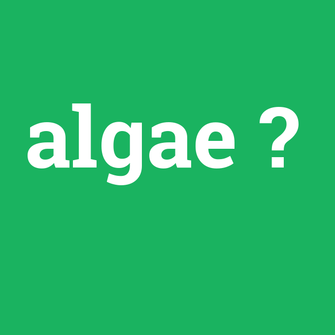 algae, algae nedir ,algae ne demek