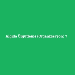 Algıda Örgütleme (Organizasyon)