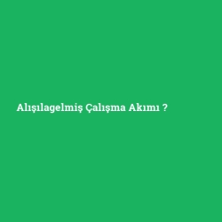 Alışılagelmiş Çalışma Akımı