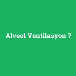 Alveol Ventilasyon
