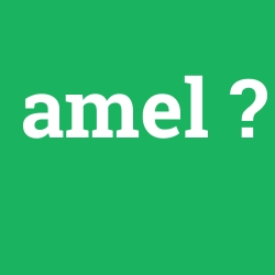amel
