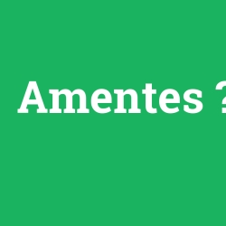 Amentes