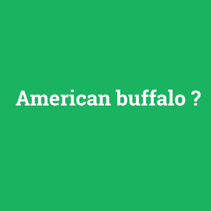 American buffalo, American buffalo nedir ,American buffalo ne demek