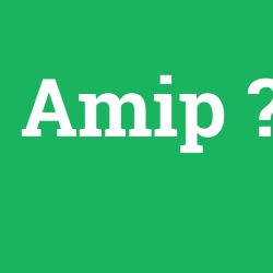 Amip