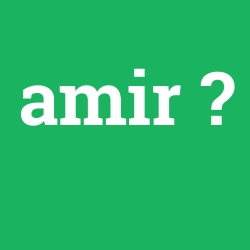 amir