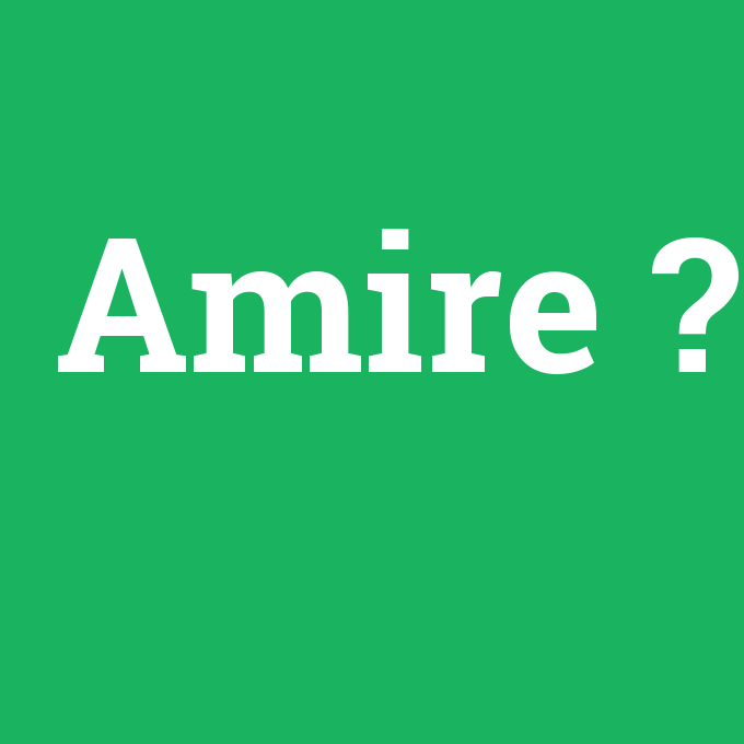 Amire, Amire nedir ,Amire ne demek