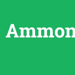 Ammon