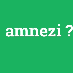 amnezi