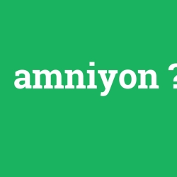 amniyon
