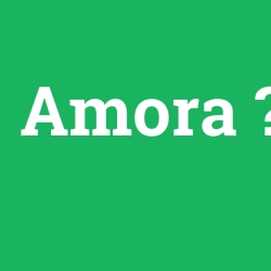 Amora