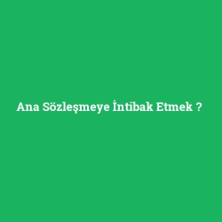 Ana Sözleşmeye İntibak Etmek foto galeri