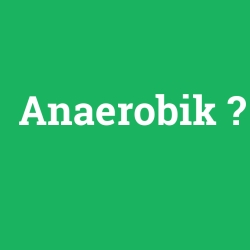 Anaerobik