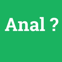 Anal foto galeri